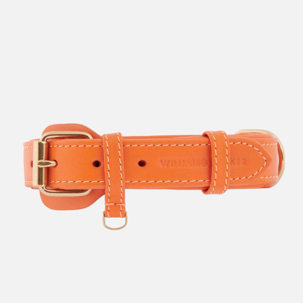 Collier pour chien en cuir Amber (Orange)