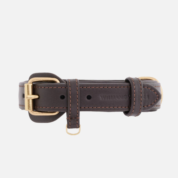 Collier pour chien en cuir Earth (marron)
