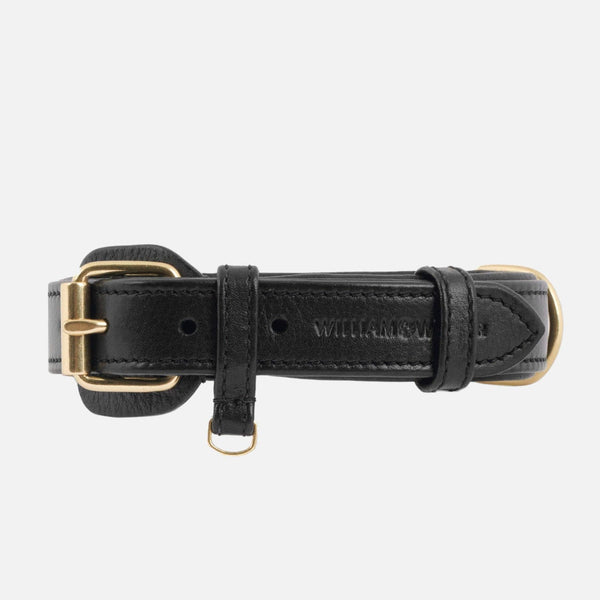 Collier pour chien en cuir Noir
