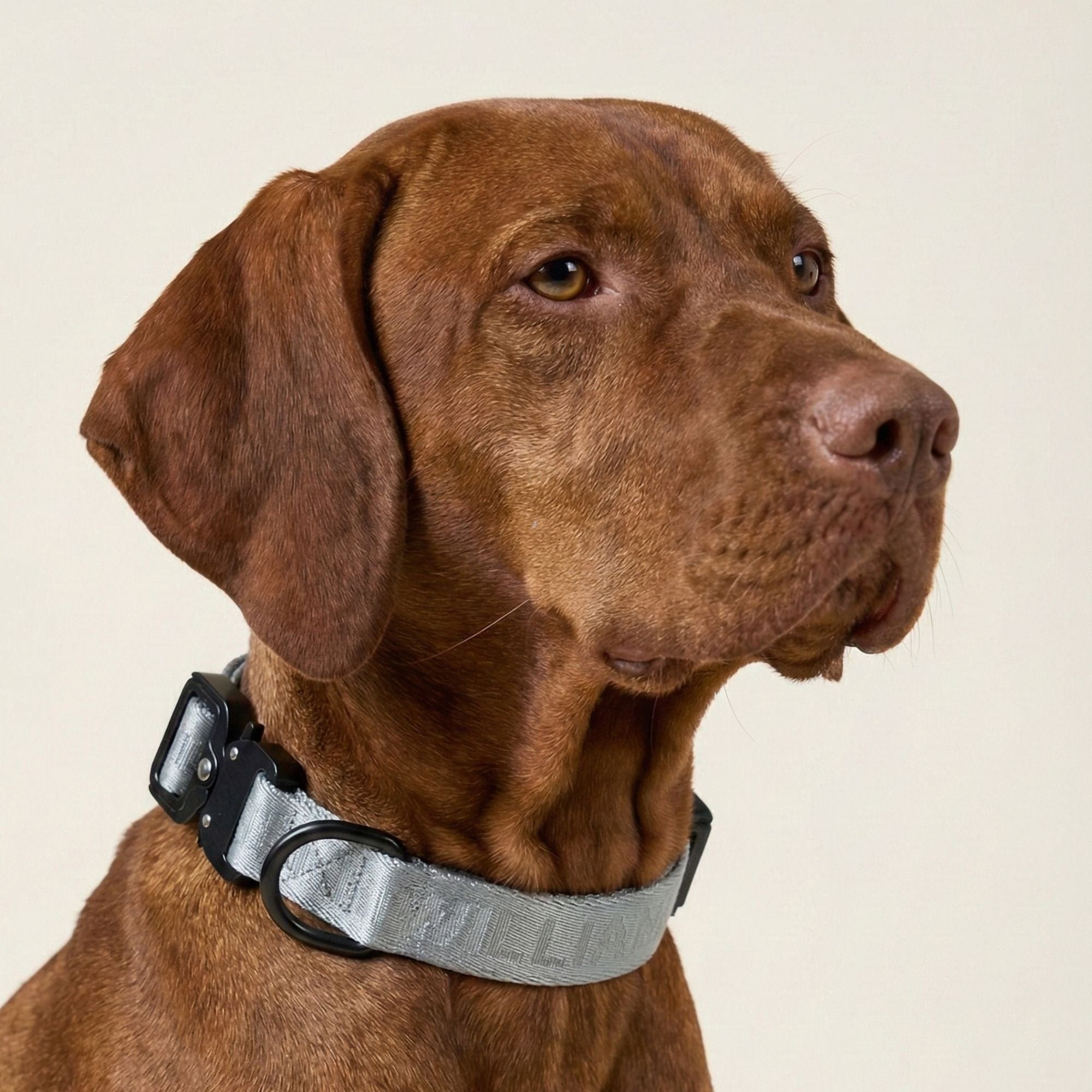 William Walker Jacquard Nylon Hundehalsband Lunar (Reflektierend)