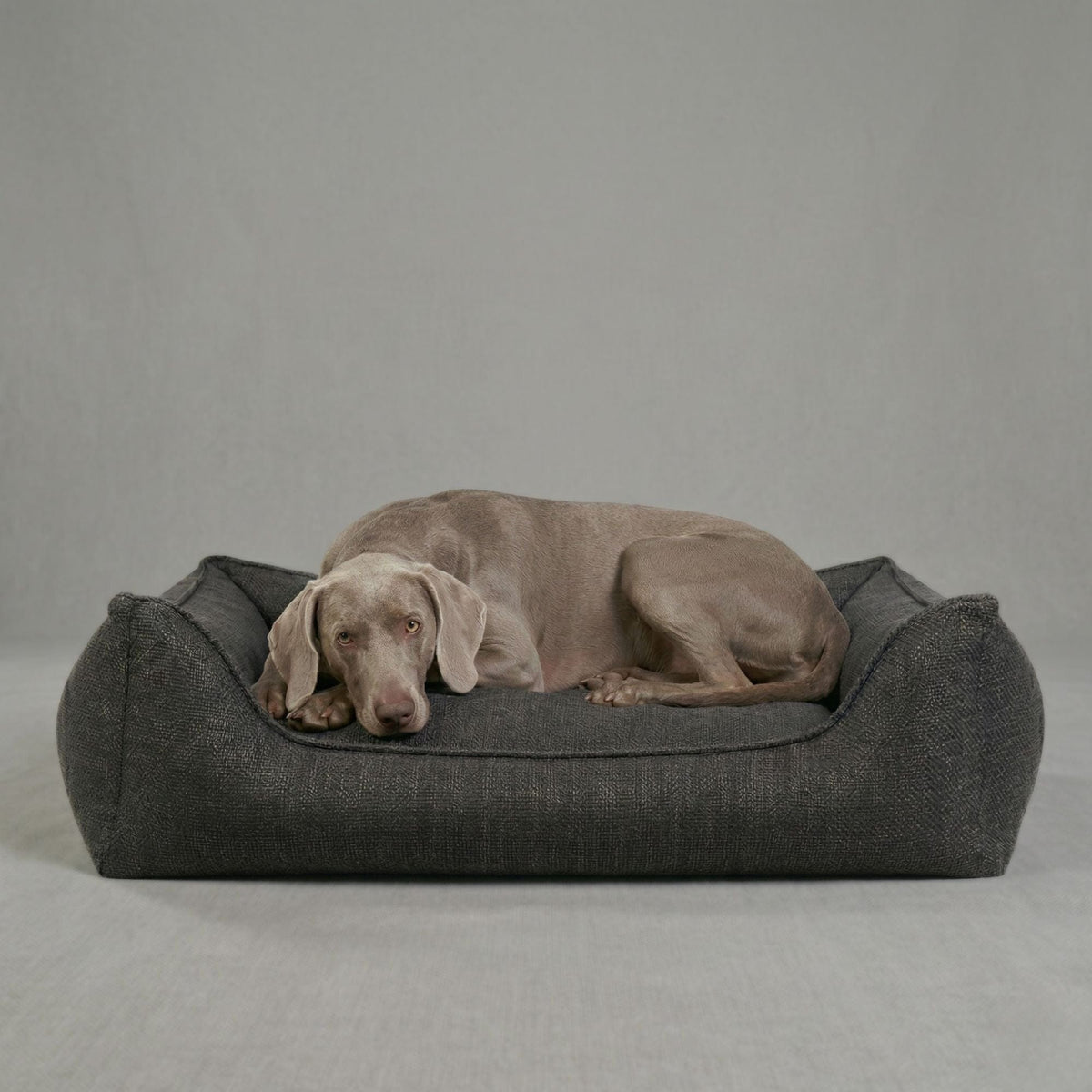William Walker Panier pour chien orthopédique Luxe Midnight / S / Kissen (Flocken)