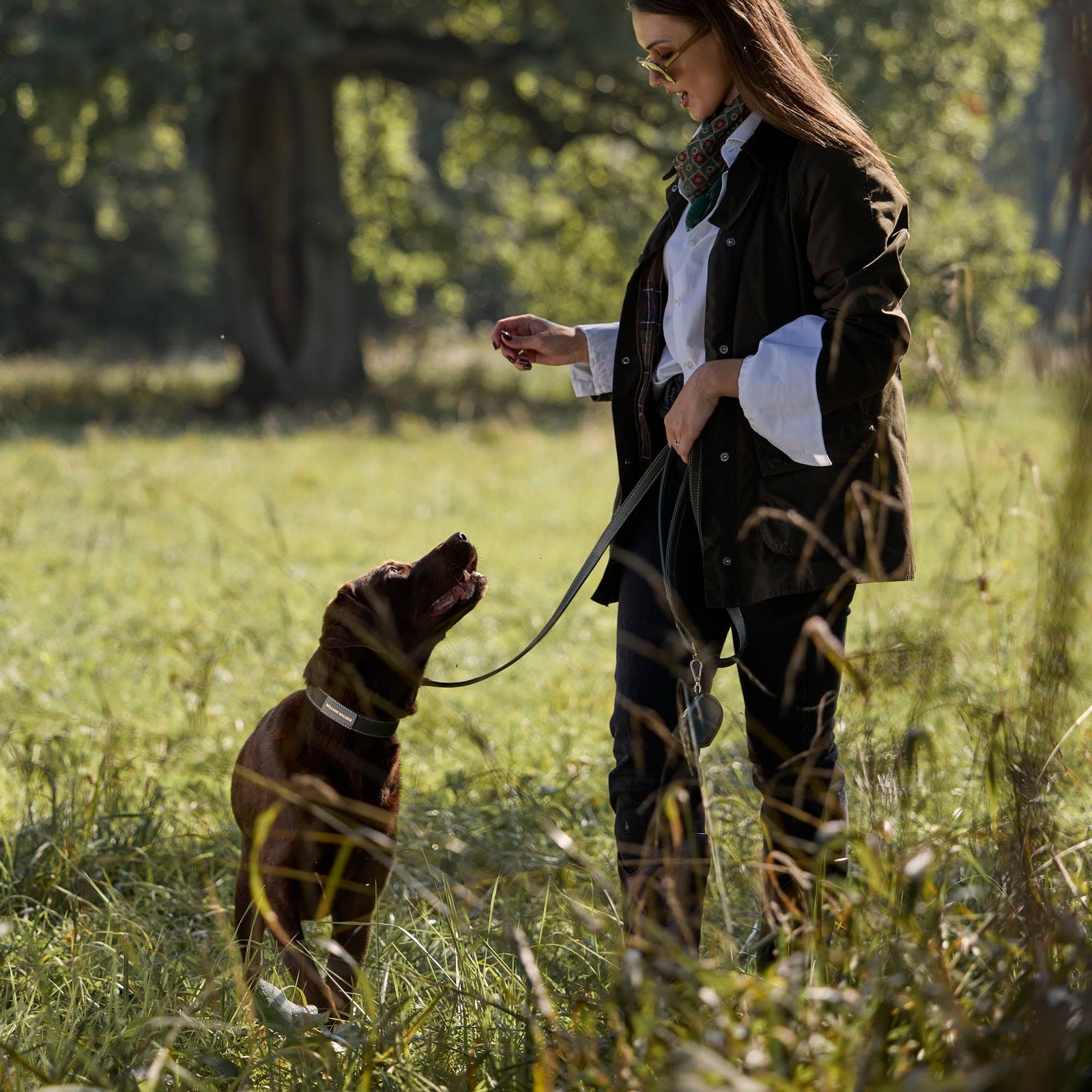 William Walker Hochwertige Wildleder Hundeleine Forest (Grün)