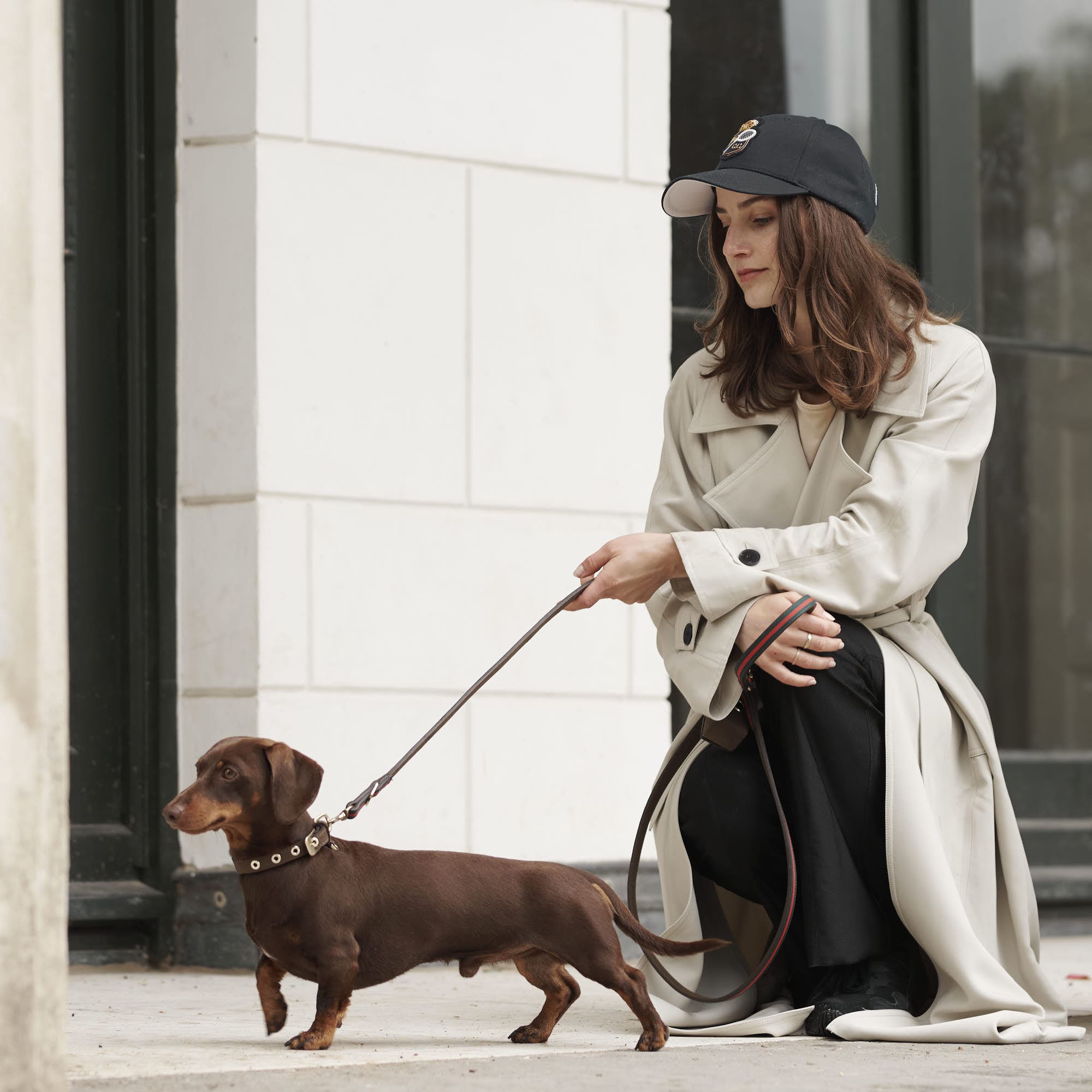 Dackel trägt das Florence Hundehalsband und Hundeleine aus Leder in den Farben braun, grün und rot. 