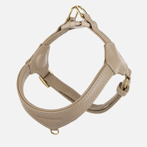 Harnais Step-In en cuir Pico pour petits chiens