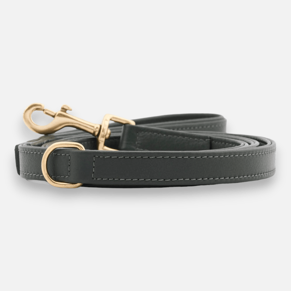 Laisse pour chien en cuir haut de gamme Dark Moss (vert forêt)