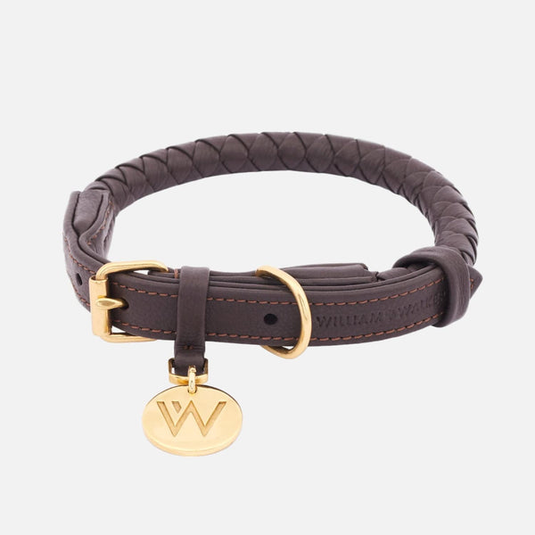 Collier pour chien en cuir Twisted Earth (Marron)