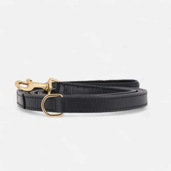 Laisse pour chien en cuir haut de gamme Noir