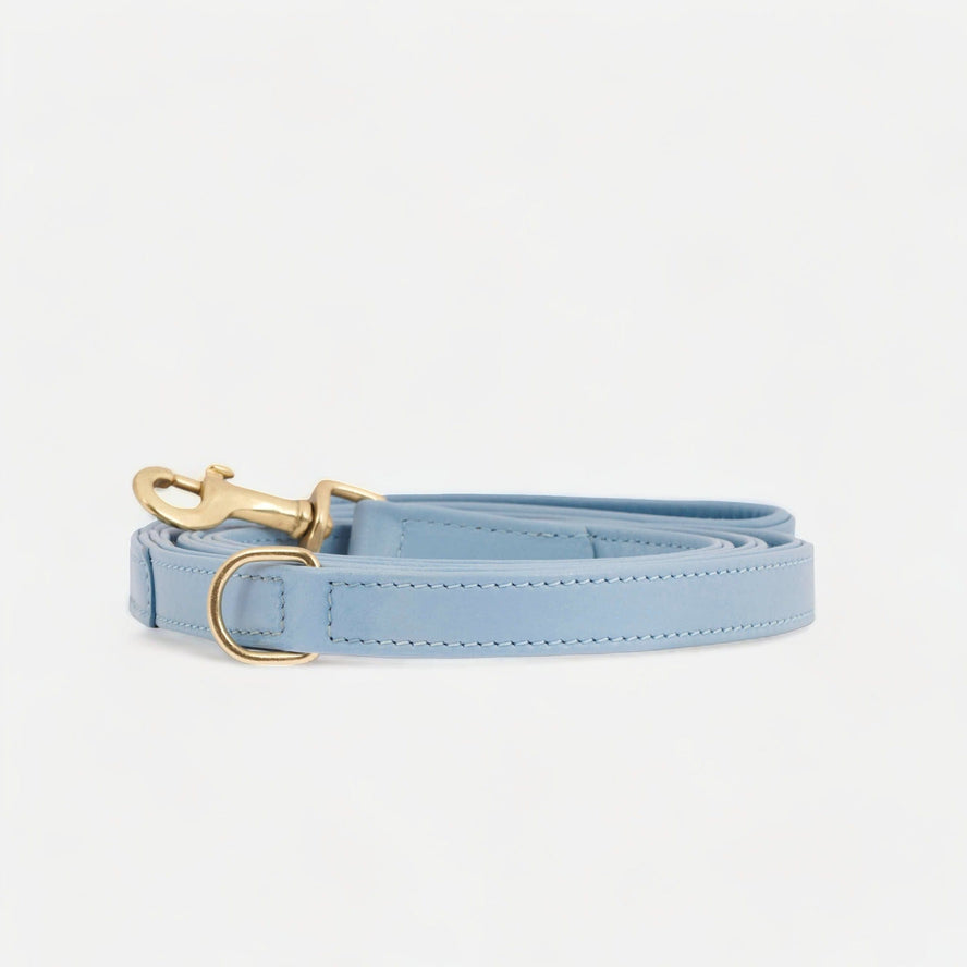 William Walker Hochwertige Leder Hundeleine Sky (Baby-Blau)