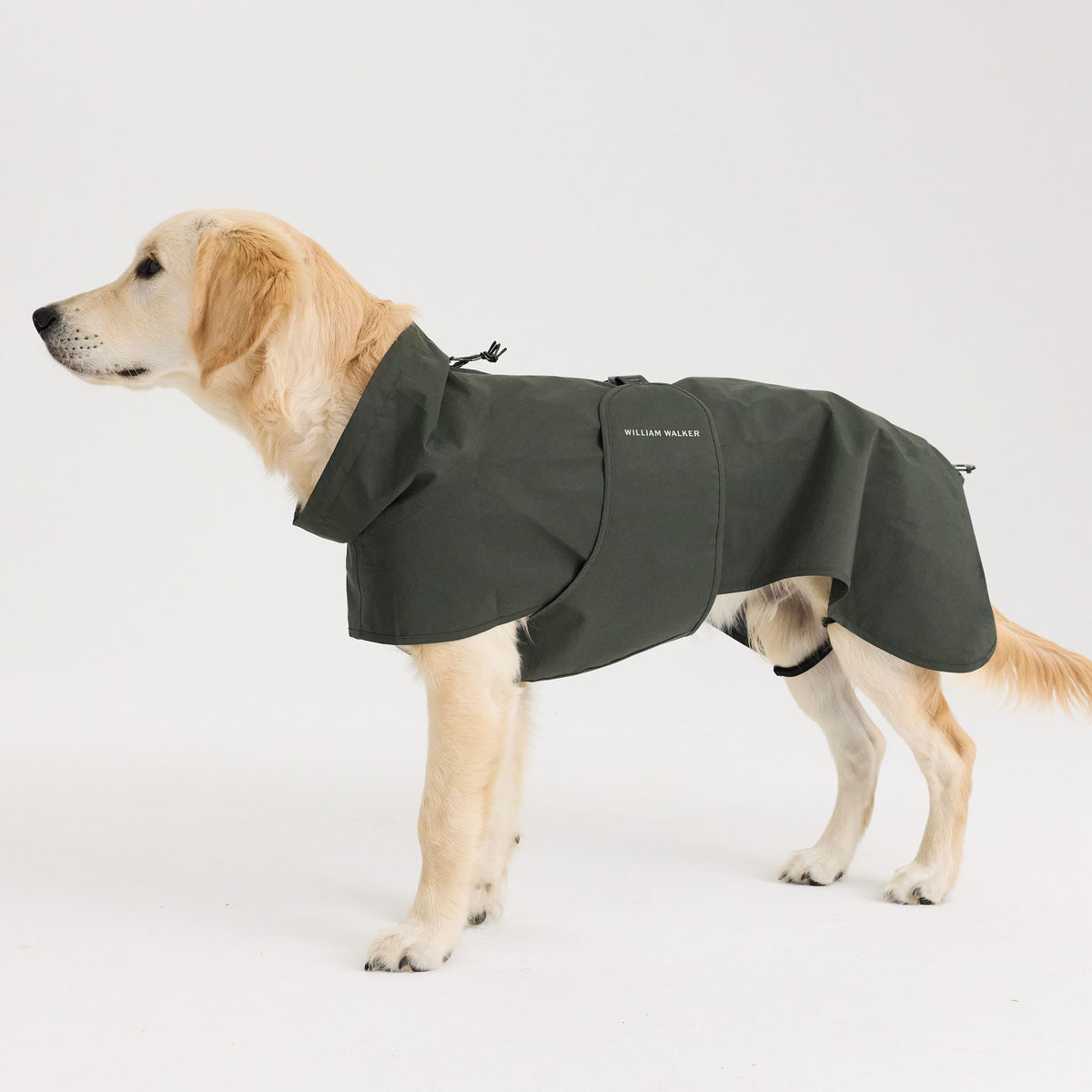 William Walker Impermeabile per cani Harbour