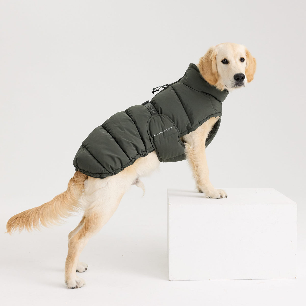 William Walker Cappottino invernale caldo per cani Alpine Dark Moss / 1