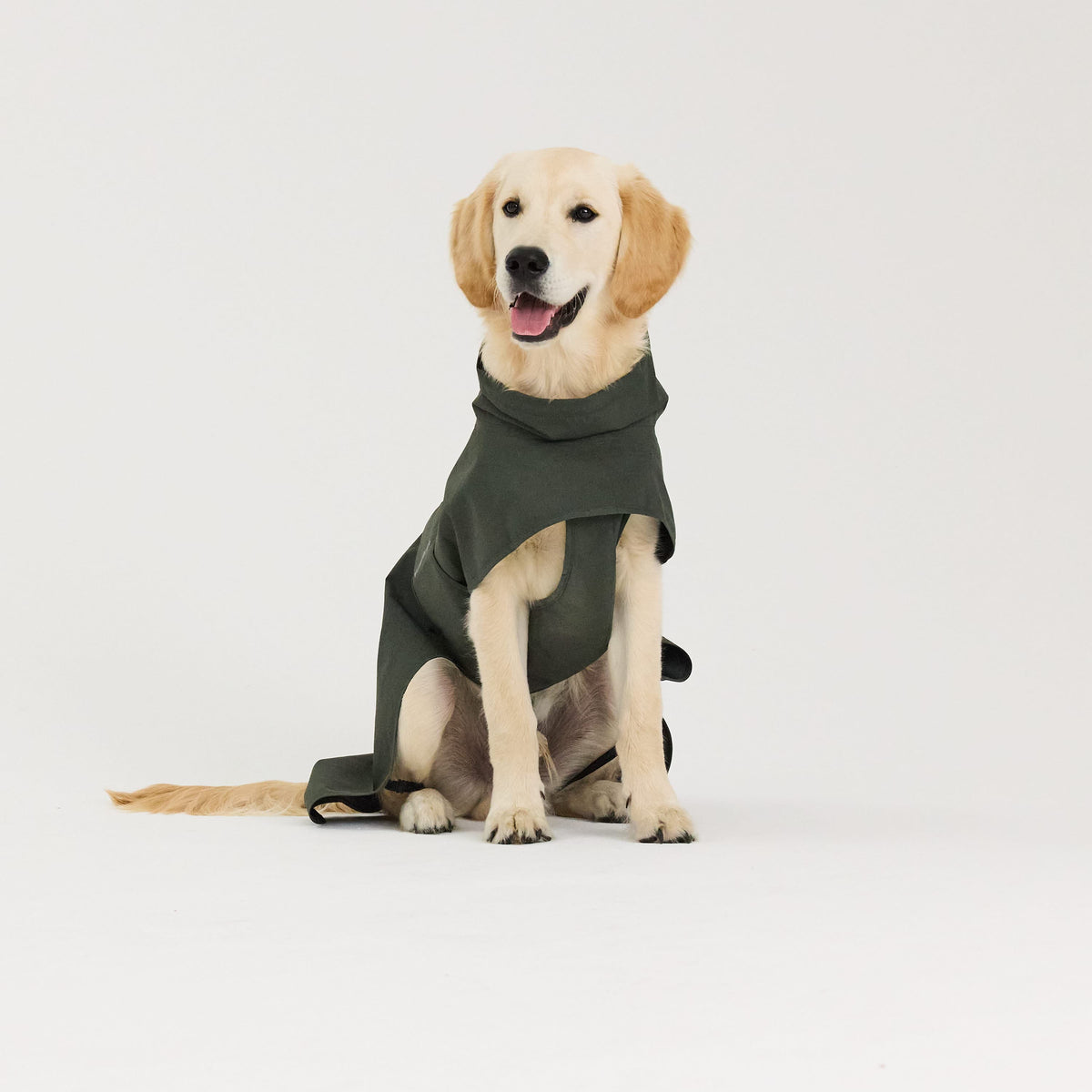 William Walker Impermeabile per cani Harbour