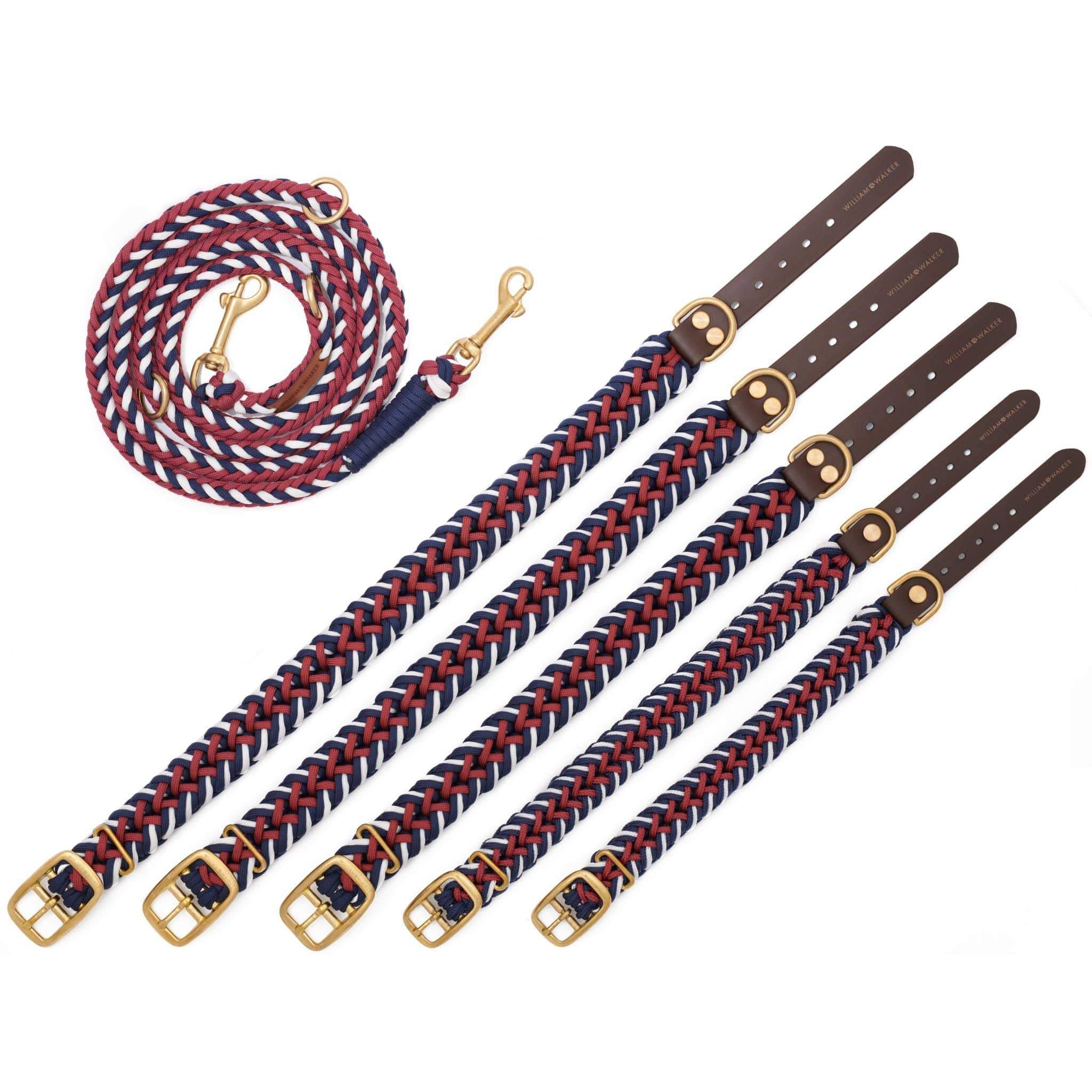 Collier de chien Paracord Royal